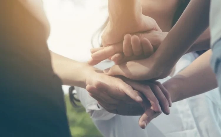 charity & causes cat